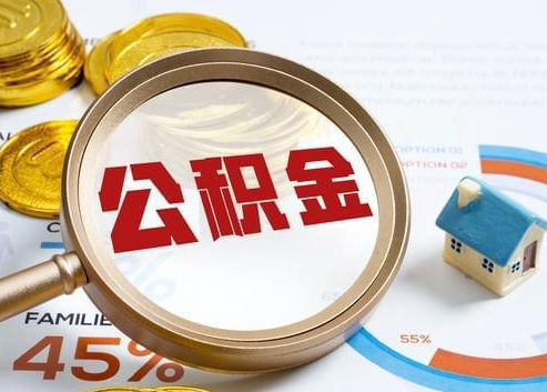 湖州2025年政策调整对个人影响综合解析